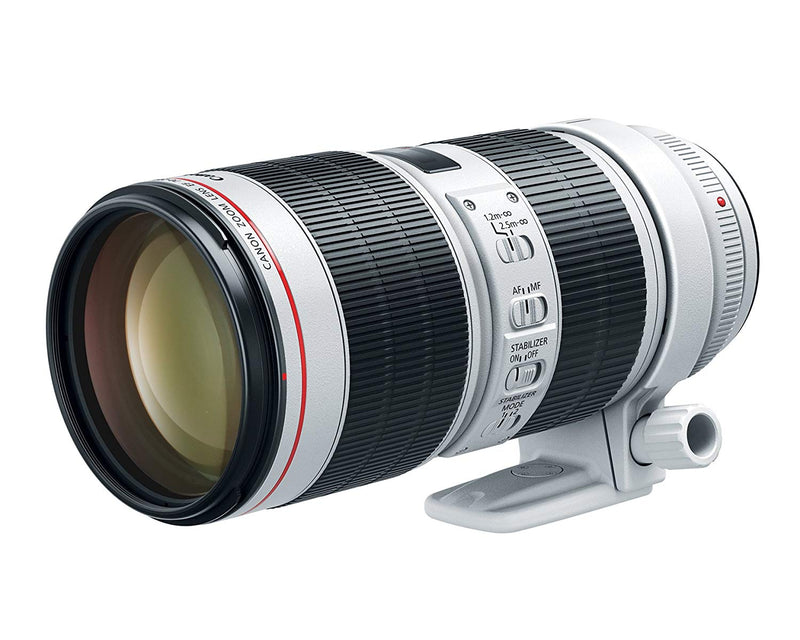 Canon EF 70-200mm f/2.8L IS III USM Lens 3044C002